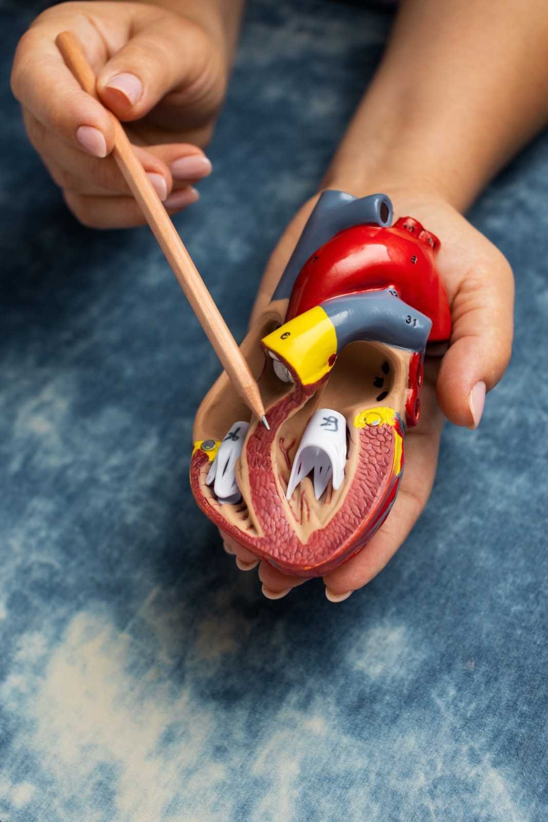 Nephrology in Ayurveda