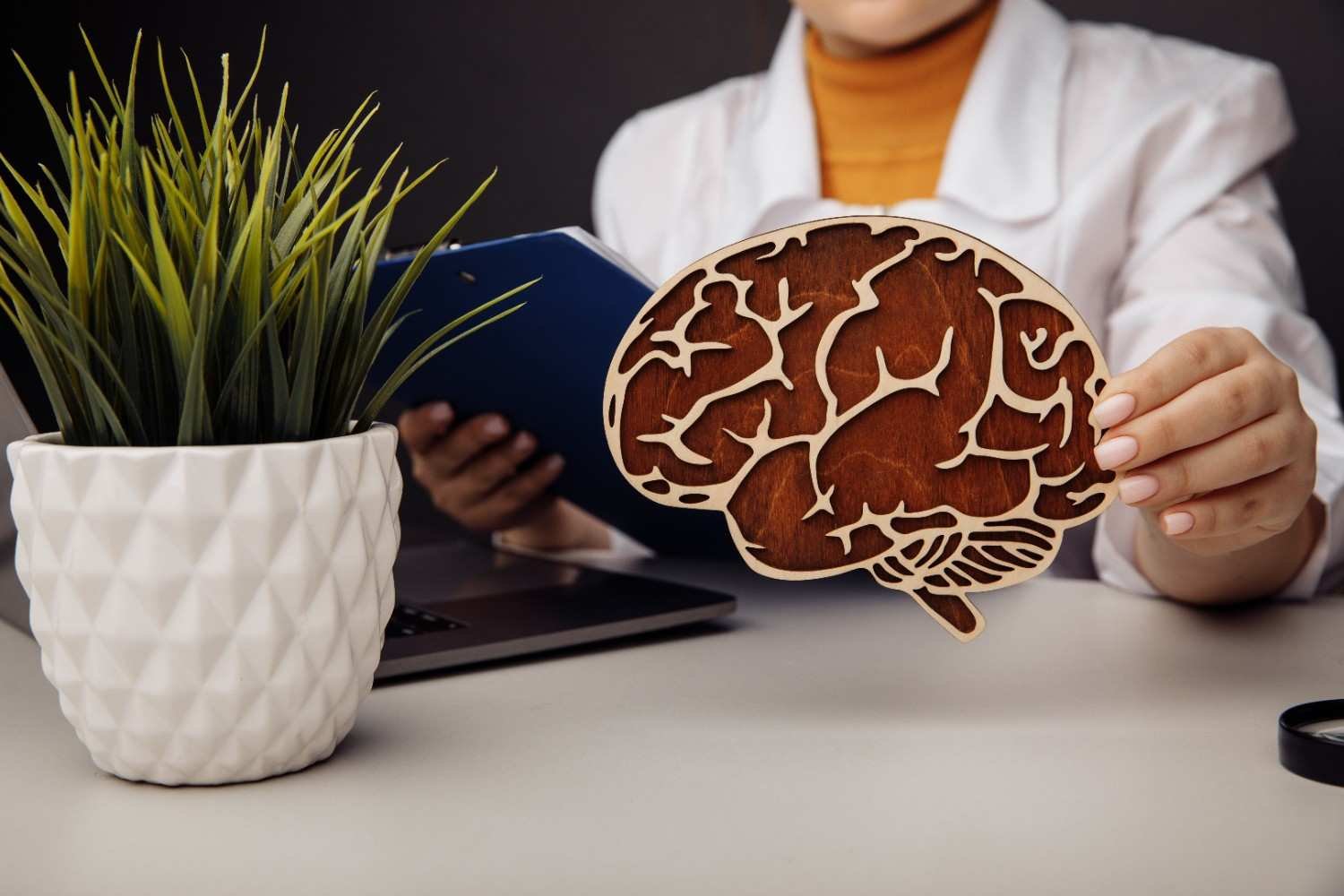 Neurology in Ayurveda